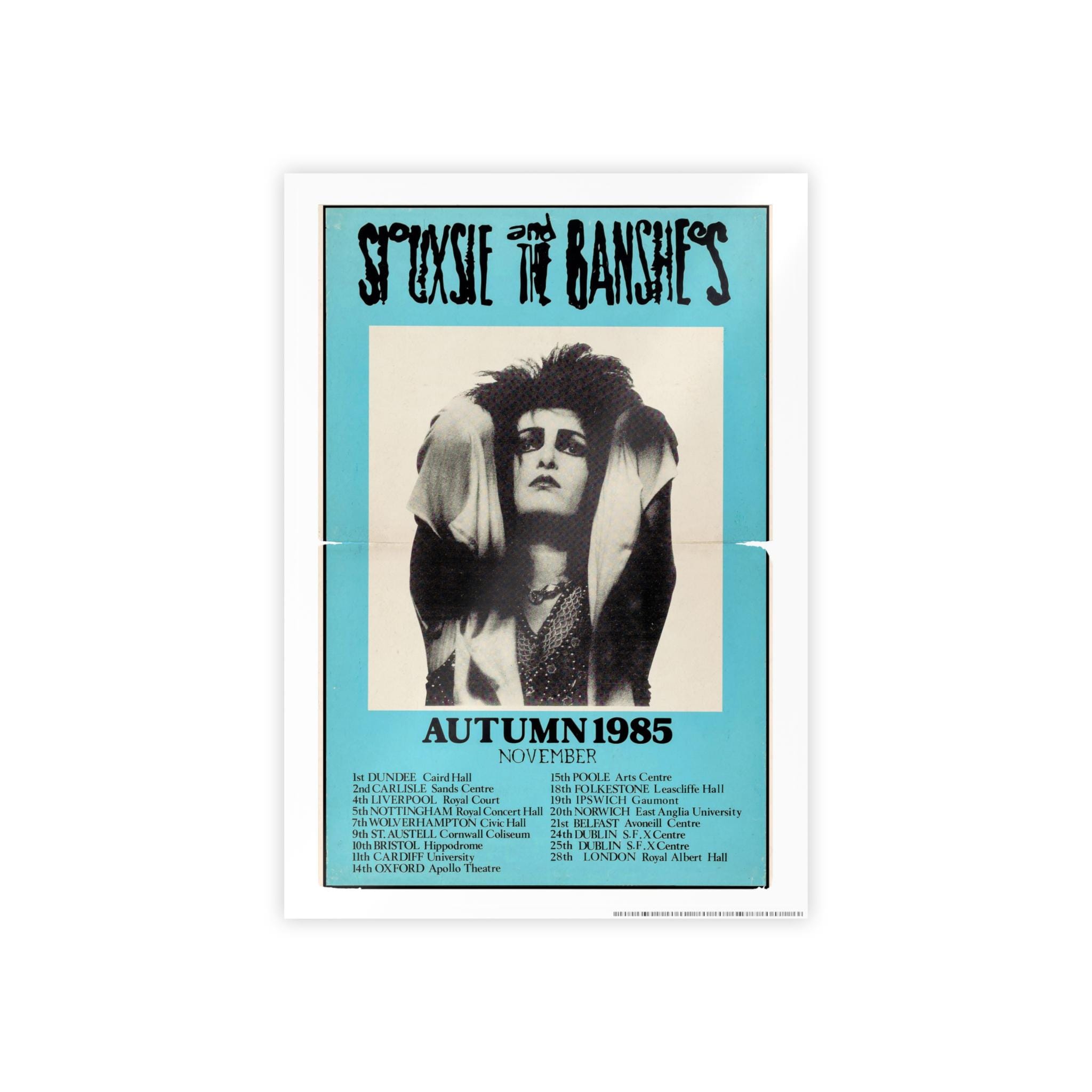 Siouxsie and the Banshees Poster - Etsy