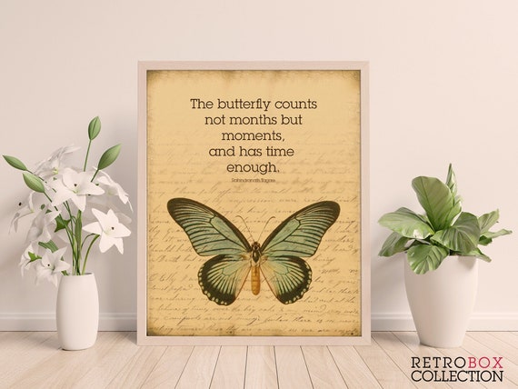 Butterfly Quotes Art Print Printable Vintage Phrase | Etsy