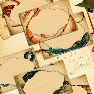 Archival Reptile Labels Vintage - 18 Labels digital tags printable collage sheet instant download - Retro Box Collection