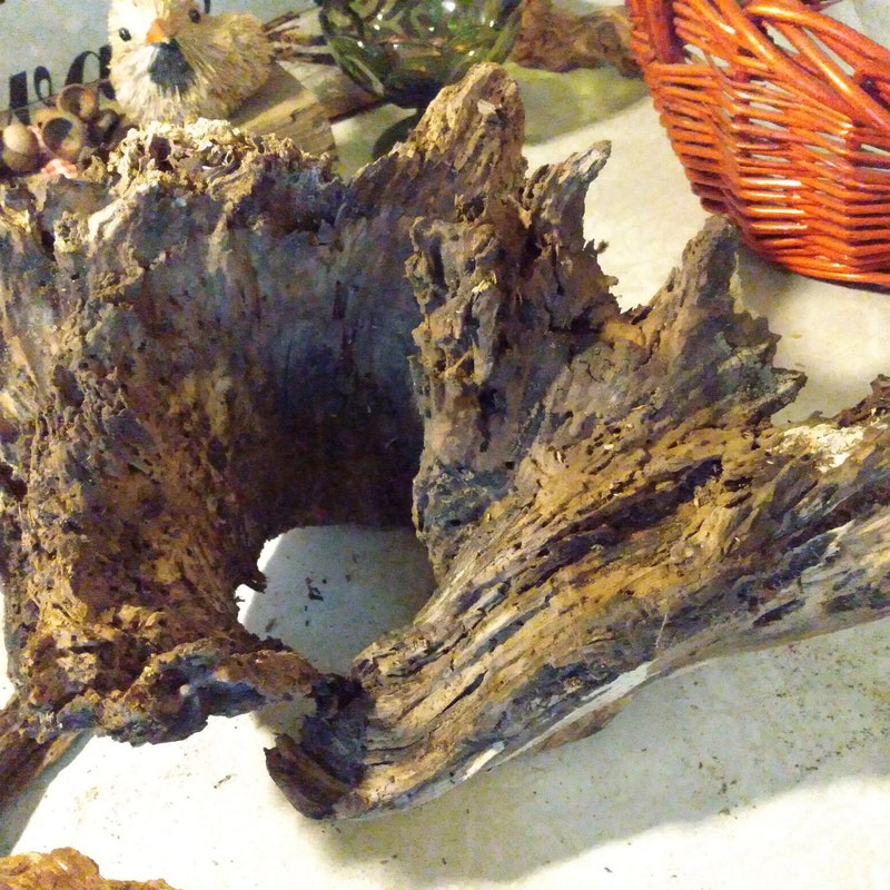 Burl Wood Decor - Etsy