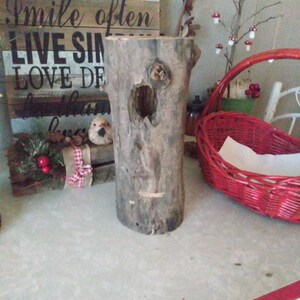 Weathered Wood Log Stump Hollowed Rustic Primitive Decor Garden Planter Taxidermy