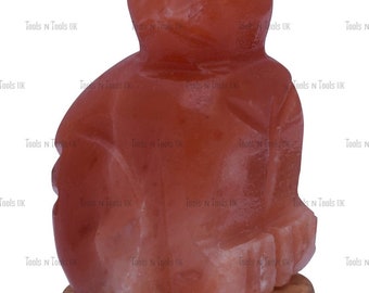 CAT SHAPE 4-5 KG ELECTRIC HIMALAYAN SALT TABLE LAMP CRYSTAL ROCK NATURAL IONIZER