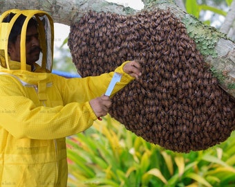 Trois couches jaunes de costume d'apiculture de maille ultra abeille ont ventilé l'air frais grand