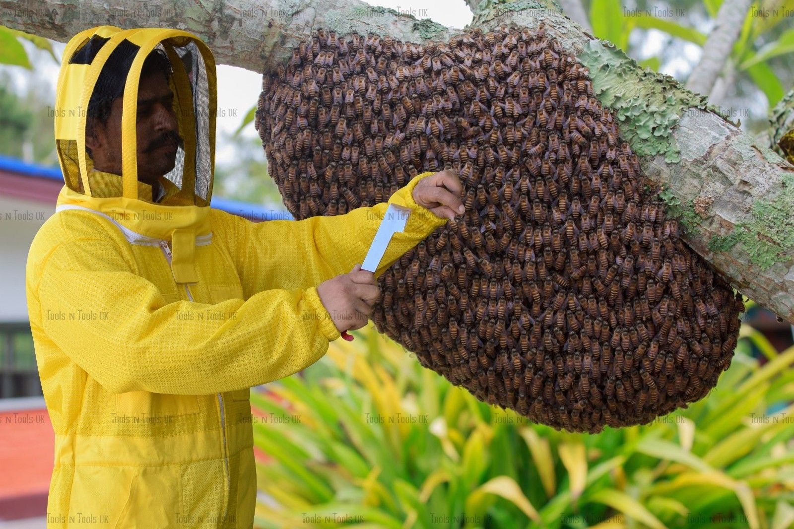 Traje de apicultura ventilado ULTRA COOL tres capas más malla con dos  capuchas. (8XL)