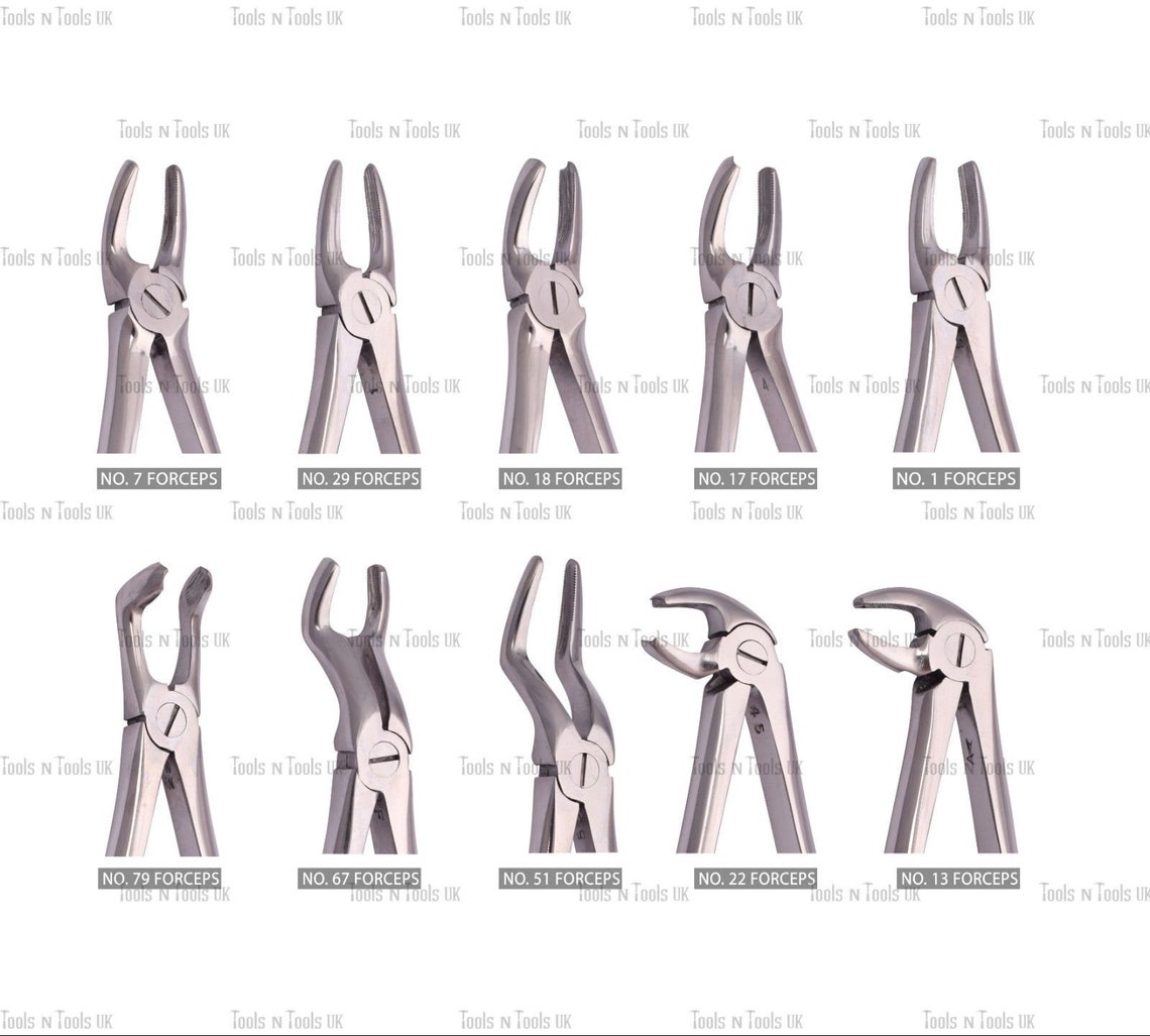 10 Piece Extracting Forceps Set Dental Instruments Tooth Etsy