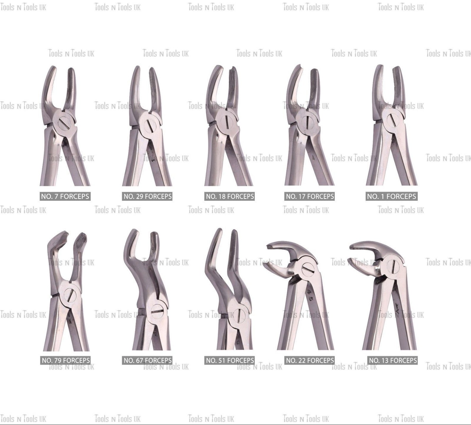10 Piece Extracting Forceps Set Dental Instruments Tooth Etsy