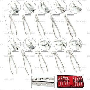 Zahnarzt Instrumente Chirurgische 8 Pcs Basic Oral Chirurgie Labor Werkzeuge  Kit