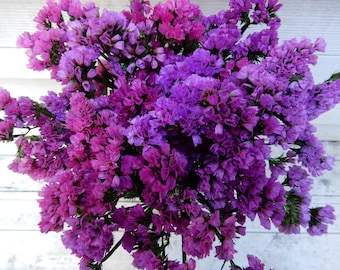 May include: A dense bouquet of dried statice flowers featuring a vibrant mix of purple, magenta, and violet blossoms. The small, papery petals are clustered tightly together on thin green stems, creating a full, rounded floral arrangement.