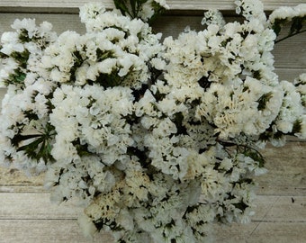 Bouquet de fleurs séchées de couleur blanc éclatant stabilisé, 12 grandes tiges, mariage, travaux manuels, décoration d'intérieur, fleurs de ferme