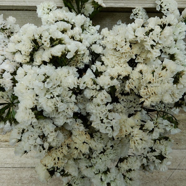 Preserved Statice Bright White Color Dried Flower Bouquet, 12 Large Stems, Wedding, DIY Craft,  Home Decor, Farmhouse Floral