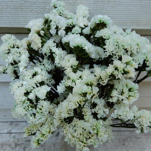May include: A dense bouquet of white statice flowers featuring numerous small, papery, ruffled blossoms clustered on branching green stems. The petals exhibit a crisp, bright white coloration with subtle hints of pale green near the base.