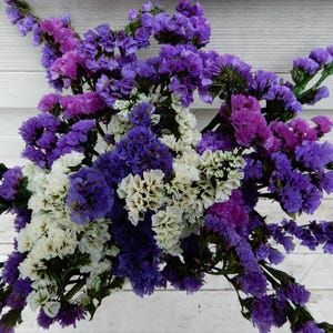 Preserved Dried Statice Bouquet: Purple, Lavender & White Floral Decor