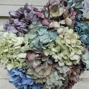 Dried Hydrangea Flowers 12 Stems Light Blue, Purple, Lavender, Cream  Mix for Bouquets, Home Decor, Weddings, DIY Crafts, Farmhouse Florals