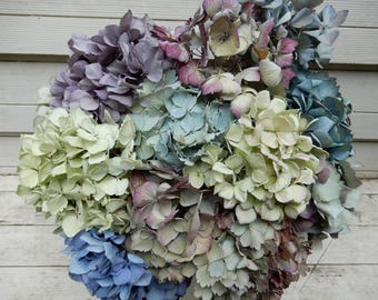 Flores de hortensia secas (12 tallos) en azul claro, morado, lavanda y crema para ramos, decoración del hogar, bodas, manualidades y arreglos florales rústicos.