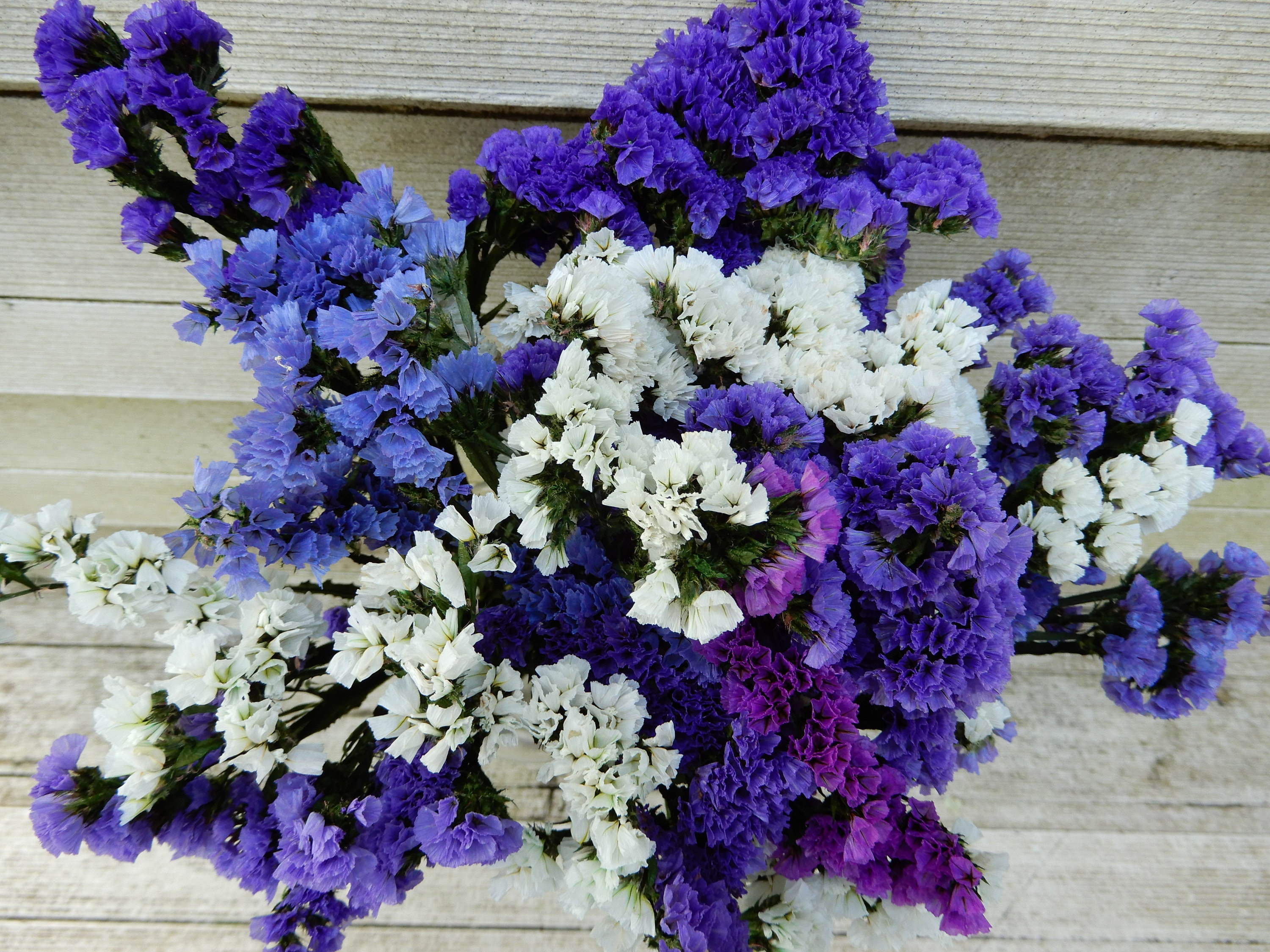 Blue Wildflower Spray, Faux Dried Flowers for Vase, Rustic