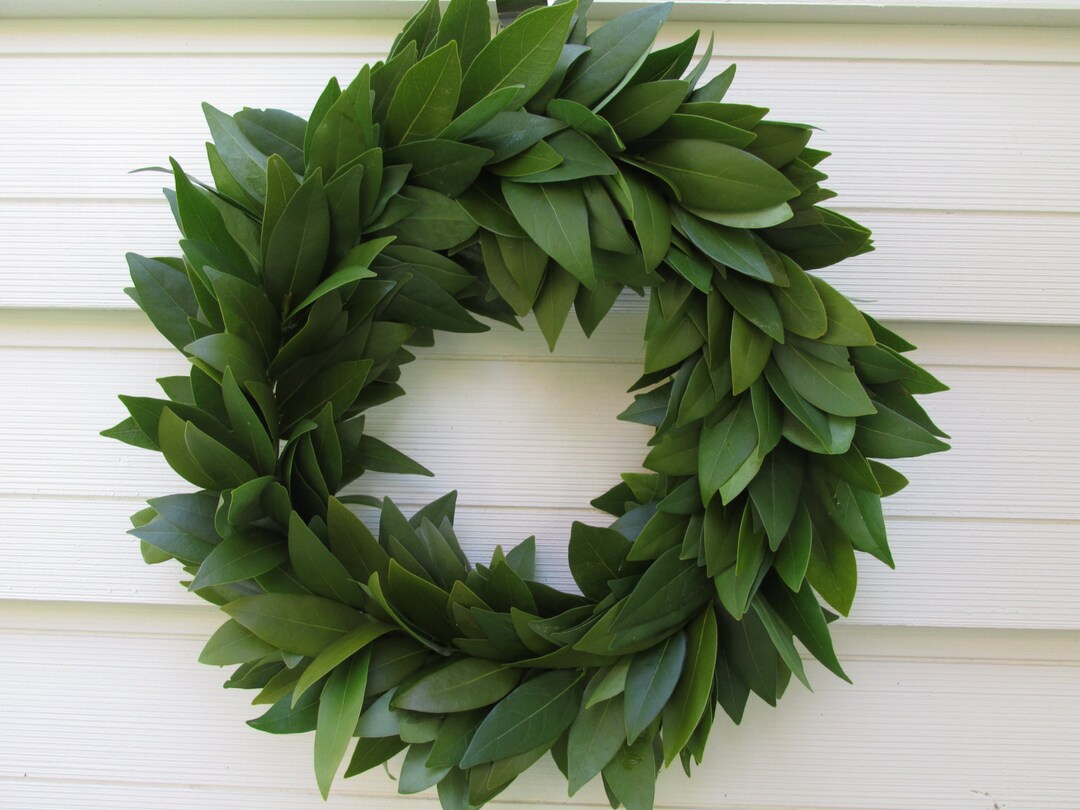 Fresh Bay Leaf Wreath 15, Winter Home Decor, Herbal Cooking, Soups, Natural Herbs, Crafts