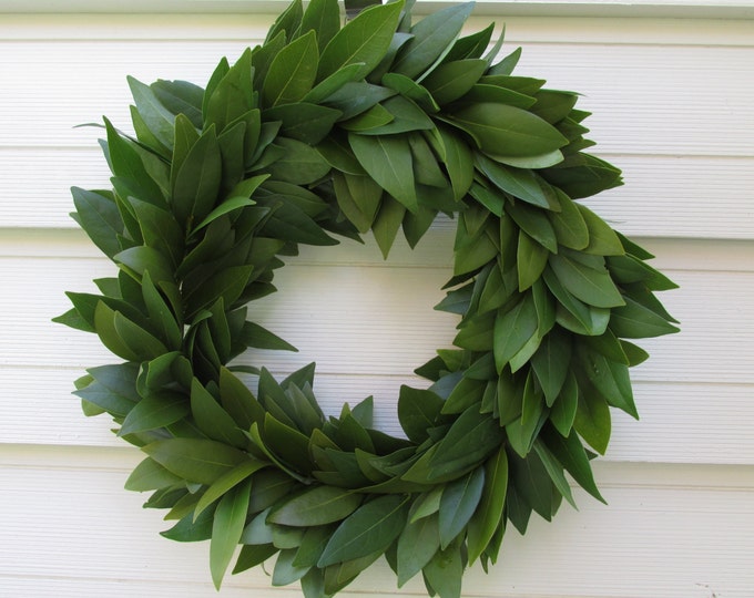 Fresh Bay Leaf Wreath 15 for Home Decor, Herbal Cooking, Herbs, Crafts