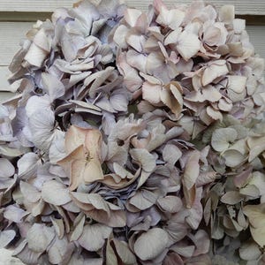 Dried Hydrangea Flowers Lavender, Pink and Cream Colors, 6 Large Stems, Wedding, Bouquet, Craft, Home Decor, Rustic, Cottagecore