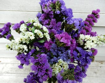 Ramo de statice seco preservado: decoración floral en tonos morados, lavanda y blancos.
