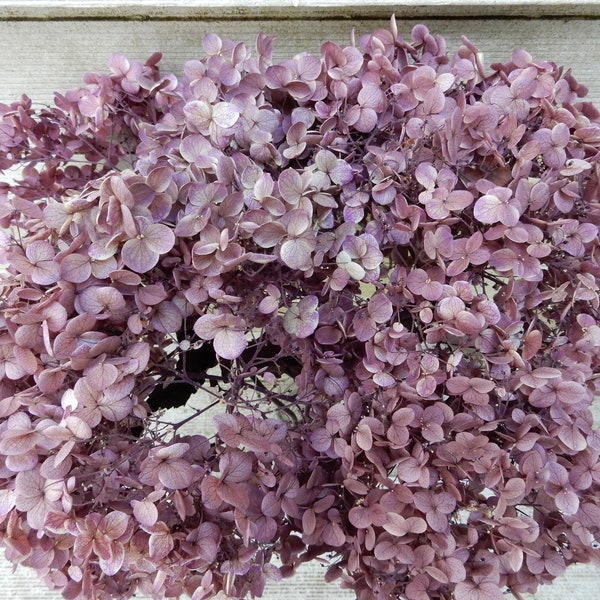 Dried Hydrangea Flowers, Preserved Purple and Cream Colors, 7 Stems, Home Decor, Crafts, Wedding, Rustic Bouquet, Farmhouse Primitives