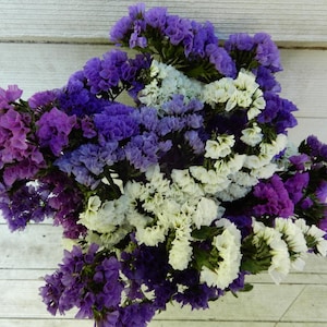 Preserved Statice  Dark Purples, Lavender and White Colors  Dried Flower Bouquet 12 Large, Long Stems, Wedding, Craft,  Home Decor, Floral