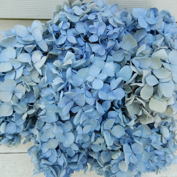 Dried Hydrangea Flowers 10 Stems Light Blue and Cream, Wedding, Natural Bouquet, Cottage Craft, Home Decor,  Rustic, Floral Farmhouse