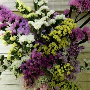 Preserved Statice Pink, Yellow + White Colors  Dried Flower Bouquet 12 Large Stems, Wedding, Boutonniere Craft, Home Decor, Floral