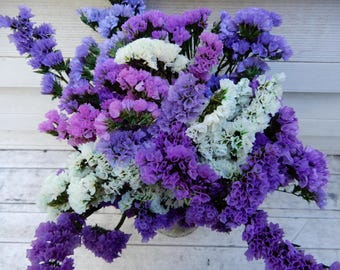 Puede incluir: Un vibrante ramo de flores de statice que presenta un denso grupo de pequeñas flores de textura papirácea en tonos púrpura intenso, violeta claro y blanco nítido, dispuestas con tallos y follaje verde.