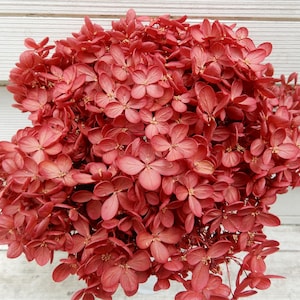 May include: A close-up of a bouquet of dried red hydrangea flowers. The flowers have multiple small petals and a textured appearance. The background is a white wooden surface.