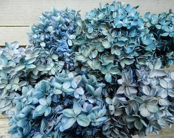 Preserved  Blue Dried Hydrangea Flowers, 6 Large Stems, Home Decor, DIY Crafts, Homegrown, Cottage Bouquet Farmhouse Primitives