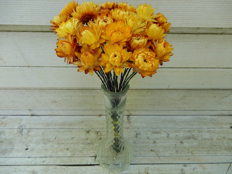 Home Decor Cottage Wildflowers Weddings Rustic Wedding Crafts Floral Supply Dried Straw flowers 25 With Long Wired Stems for Bouquets