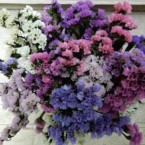 Preserved Statice  Lavender, Pink and White  Colors  Dried Flower Bouquet 12 Large Stems, Wedding, Boutonniere Craft, Home Decor, Floral