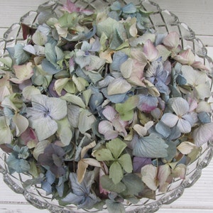 10 Cups Loose Dried Hydrangea Flower Petals for Confetti, Wedding Toss, Flower Girls,Natural Floral, Potpourri, Craft, Flower Cones, DIY