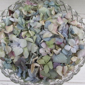 10 tazze di petali di ortensia essiccati sfusi per coriandoli, lancio di fiori per matrimoni, damigelle d'onore, fiori naturali, pot-pourri, artigianato, coni di fiori, fai da te