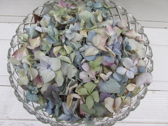 Natural Dried Hydrangea Flowers Big Petals for Home Bouquet Wedding  Decoration