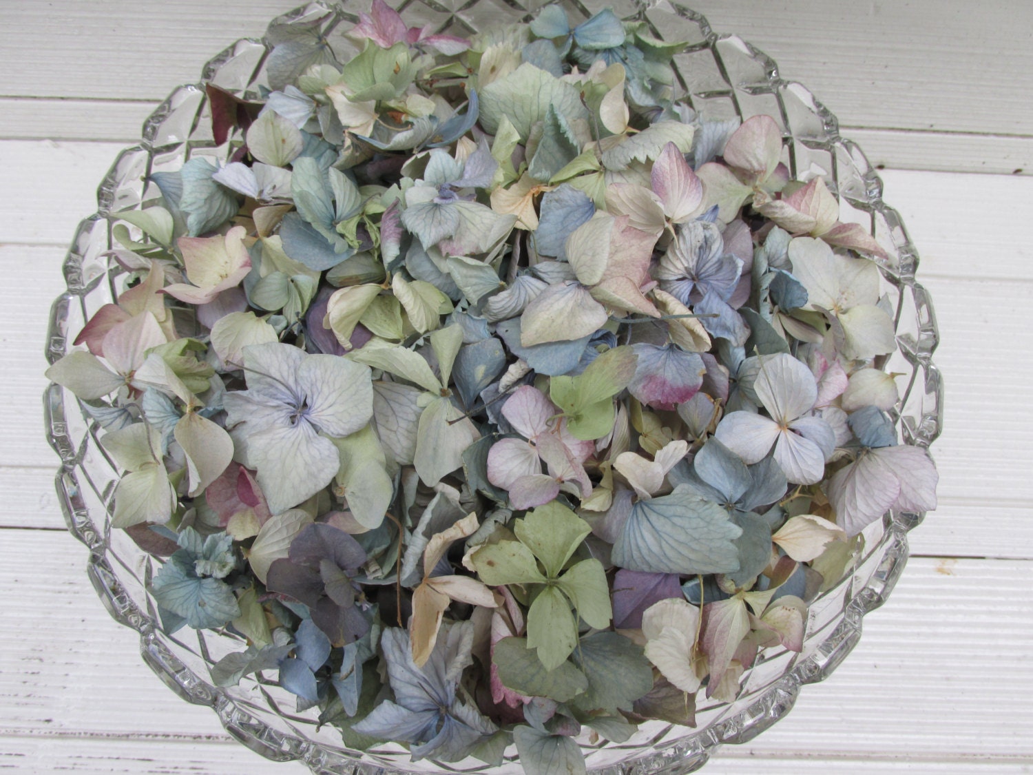 10 Cups Loose Dried Hydrangea Flower Petals for Confetti Etsy