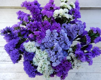 Puede incluir: Un denso ramo de flores de statice que presenta una mezcla vibrante de flores de color púrpura intenso, lavanda claro y blanco nítido. Los pequeños pétalos papiráceos se agrupan en un arreglo redondo y lleno con tallos verdes en la base.