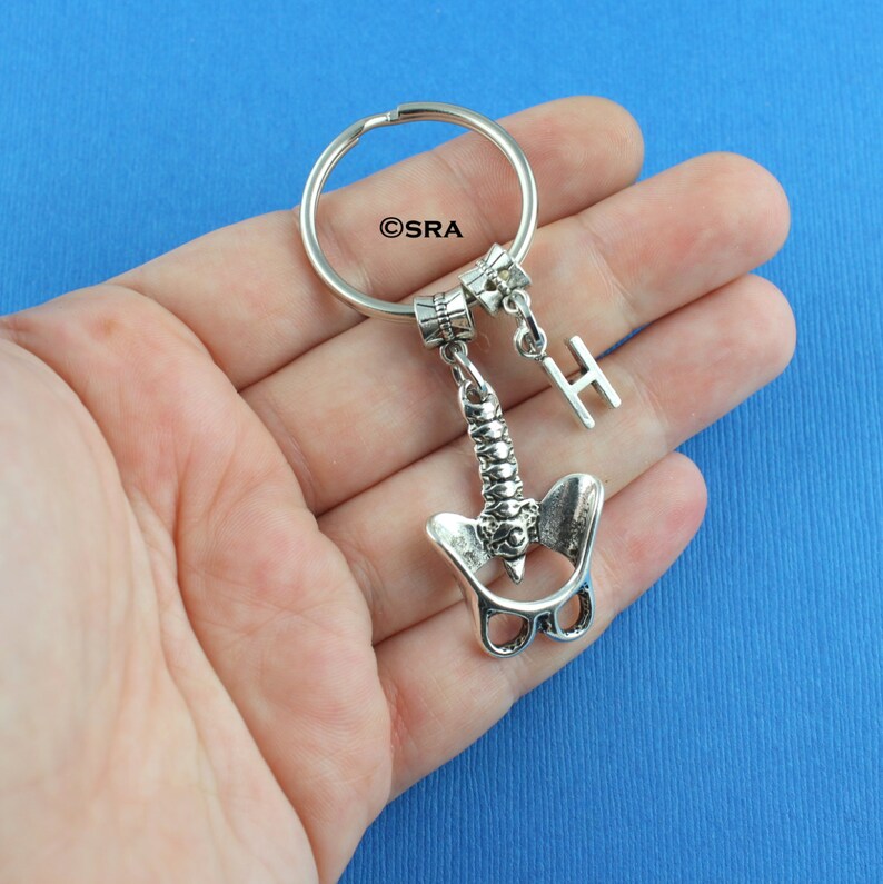 Chiropractor Gift Spine Keychain Pelvis Keychain Spine Key Etsy
