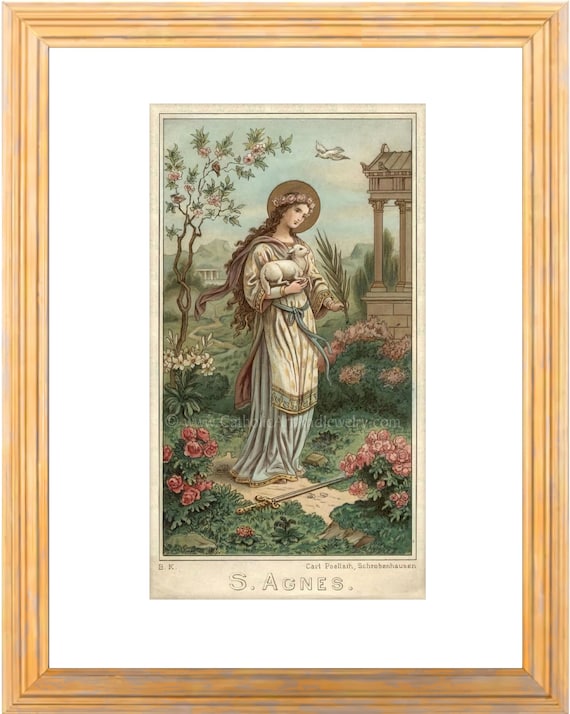 image not described image