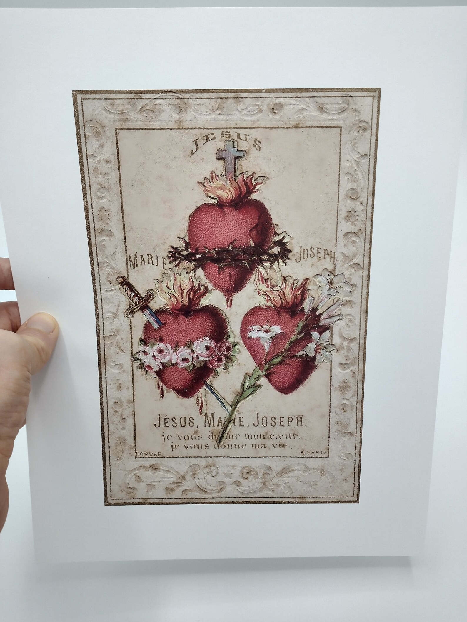 Our Lady of Lourdes Roses Based on a Vintage French Holy | Etsy