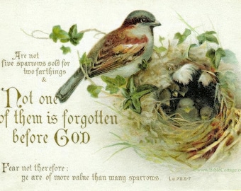 You Are of More Value Than Many Sparrows – Luke 12:6-7 – Vintage Christian Art – Inspiring and Encouraging
