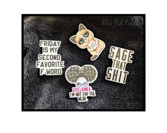 Disclaimer magnet set! FOUR (4) pieces F-word powerful magnets for fridge and other surfaces--sage cat disclaimer