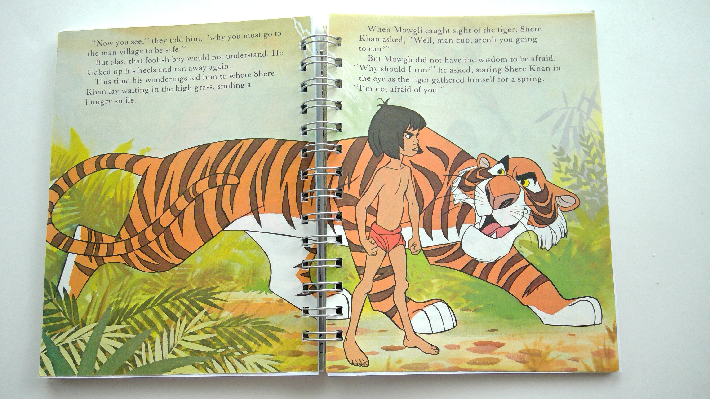 The Jungle Book Sparknotes