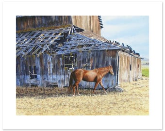 Sorrel Horse and Weathered Barn Watercolor Fine Art Print (12"h x 16"w Image)