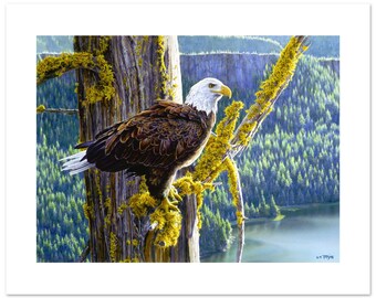 Bald Eagle Watercolor Art Poster: Misty Fjords Alaska Print (12x16)
