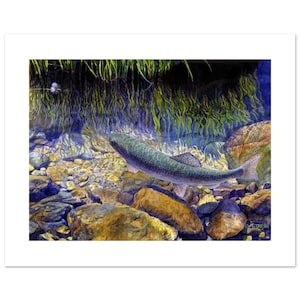 Poster di trota iridea, opera d'arte di un pescatore, regalo per la pesca a mosca e stampa per gli amanti dei pesci, ideale per decorazioni naturalistiche, immagine da 12" (altezza) x 16" (larghezza) su carta per belle arti.