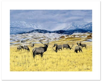 Elk in Yellowstone National Park Landscape Scene Fine Art Print (12"h x 16"w image)