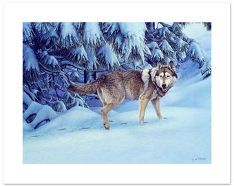 Hiking Wolf in Snowy Forest Landscape Watercolor Fine Art Print (12"h x 16"w image)