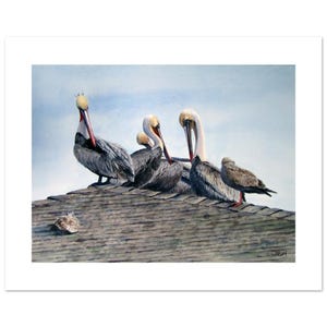Preening Pelicans Poster a Bird Painting a Seaside Beach Print for Ocean Decor a Brown Pelican Gift a 12&quot;h x 16&quot;w Image on Fine Art Paper