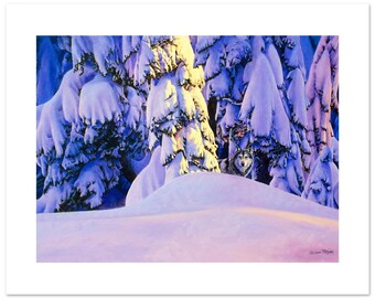 Wolf in Sunset Snow Scene Fine Art Print (12"h x 16"w image)